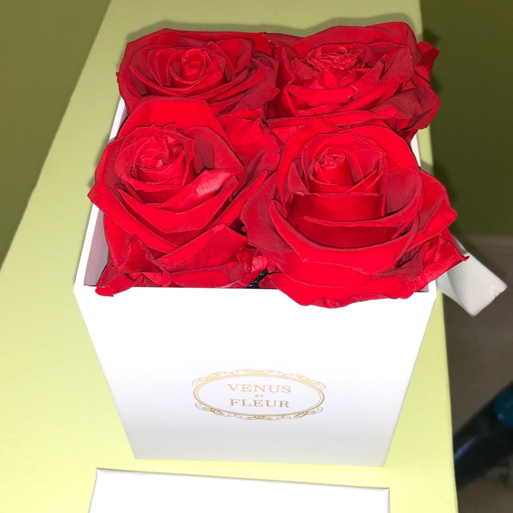 Venus ET Fleur real eternity roses